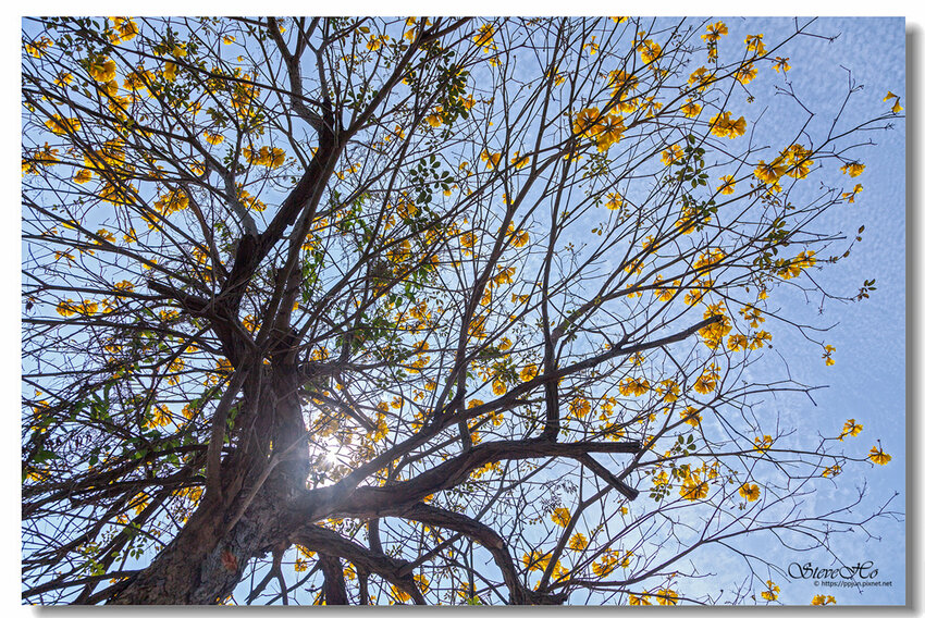 08.IMG_2739.jpg 08.IMG_2739.jpg