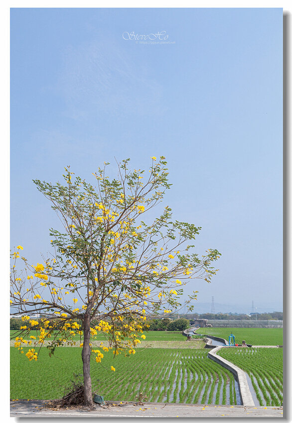 13.IMG_2782.jpg 13.IMG_2782.jpg