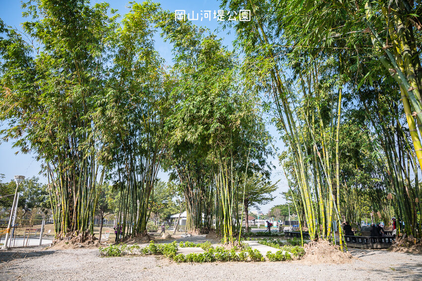 |特色公園|岡山河堤公園遊戲場,全新開放!以竹子為主題特色公園,星空土丘溜滑梯、圓環溜索區讓你當小泰山 - Hallo!I'm 婷兒