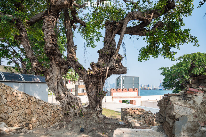 ｜高雄景點｜雄鎮北門，讓你近距離觀看超大貨輪進出港的絕佳景點 - Hallo！I'm 婷兒