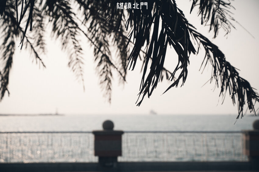 ｜高雄景點｜雄鎮北門，讓你近距離觀看超大貨輪進出港的絕佳景點 - Hallo！I'm 婷兒