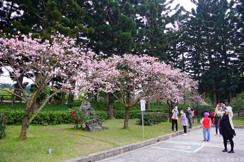 88.jpg