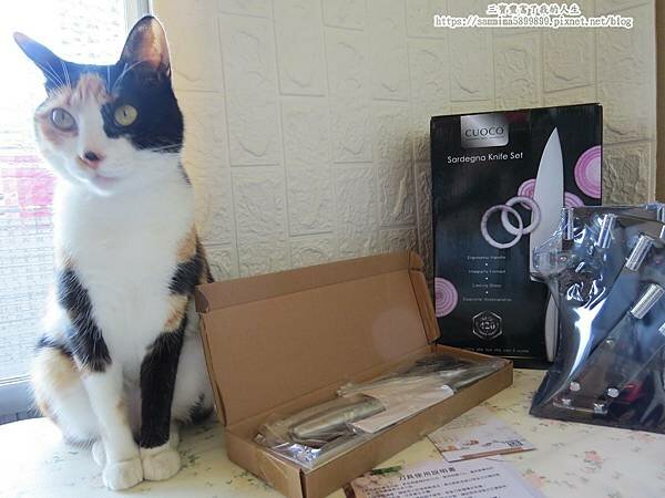 廚房刀具推薦【義大利CUOCO】420 薩丁尼亞不鏽鋼刀具6件組 4刀1剪好收納 輕鬆整理食材 質感嚴選