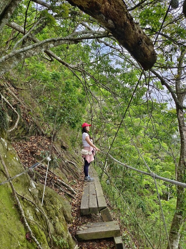 【台南.楠西區】伍龍登山口停車場直奔獵鷹尖+梅嶺一線天。住宿:玉井微風栩栩晴意天空