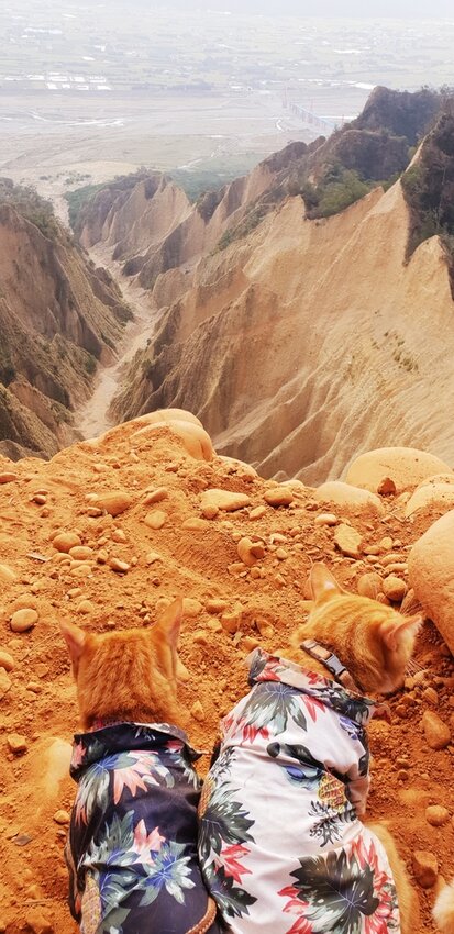 190034.jpg - 【苗栗.三義】帶著貓咪去旅行超壯觀火燄山。大峽谷來回約4.5小時