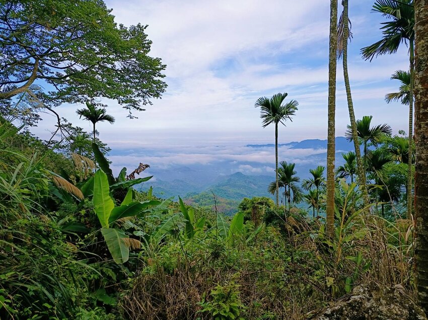 【台南.楠西區】伍龍登山口停車場直奔獵鷹尖+梅嶺一線天。住宿:玉井微風栩栩晴意天空