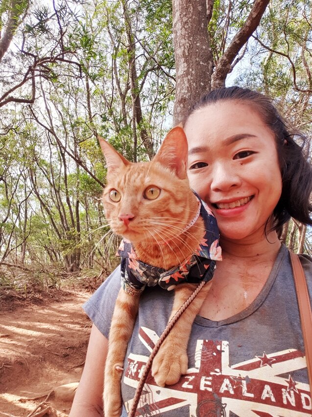 190026.jpg - 【苗栗.三義】帶著貓咪去旅行超壯觀火燄山。大峽谷來回約4.5小時