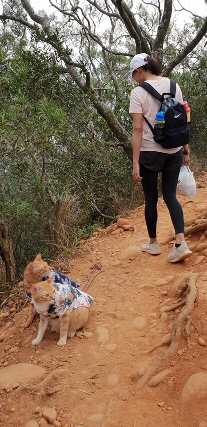 190052.jpg - 【苗栗.三義】帶著貓咪去旅行超壯觀火燄山。大峽谷來回約4.5小時