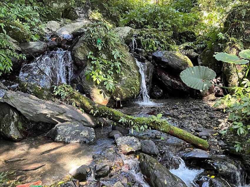 【宜蘭.礁溪】最美網美山抹茶山{聖母登山步道}來回10公里爬升770公尺