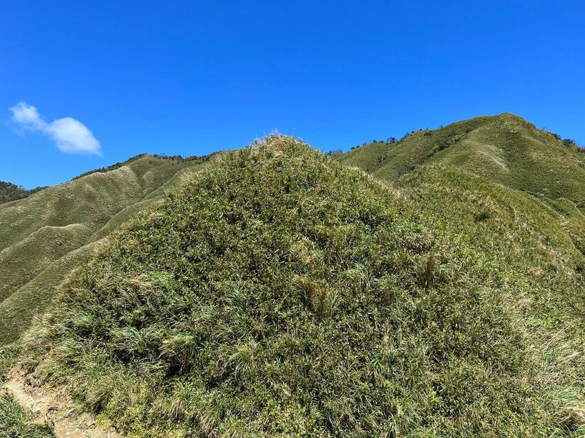 【宜蘭.礁溪】最美網美山抹茶山{聖母登山步道}來回10公里爬升770公尺
