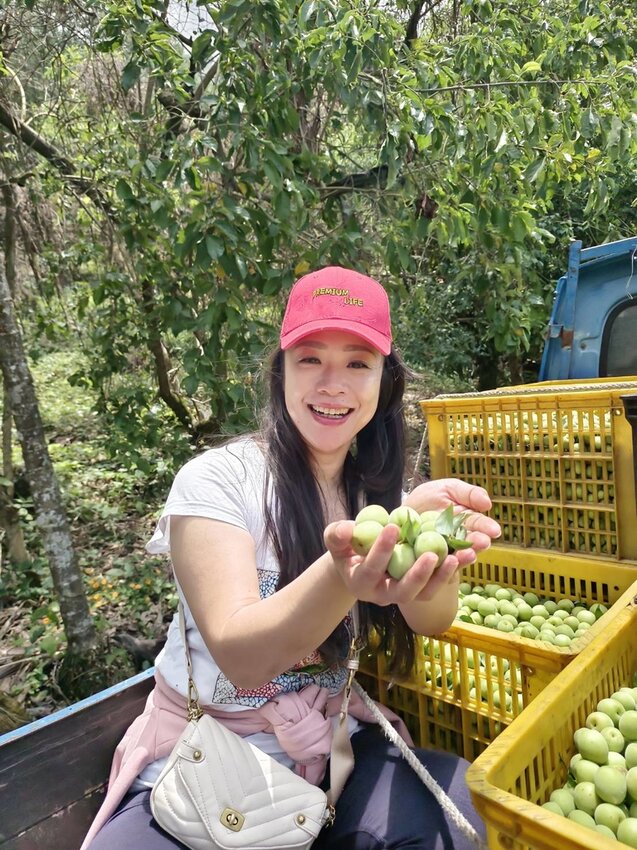 【台南.楠西區】伍龍登山口停車場直奔獵鷹尖+梅嶺一線天。住宿:玉井微風栩栩晴意天空