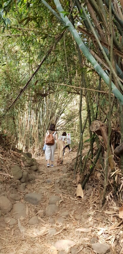 190075.jpg - 【苗栗.三義】帶著貓咪去旅行超壯觀火燄山。大峽谷來回約4.5小時