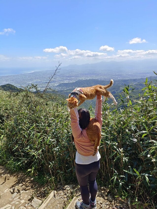 【宜蘭.礁溪】最美網美山抹茶山{聖母登山步道}來回10公里爬升770公尺