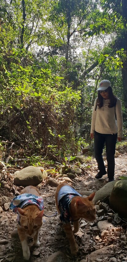 190076.jpg - 【苗栗.三義】帶著貓咪去旅行超壯觀火燄山。大峽谷來回約4.5小時