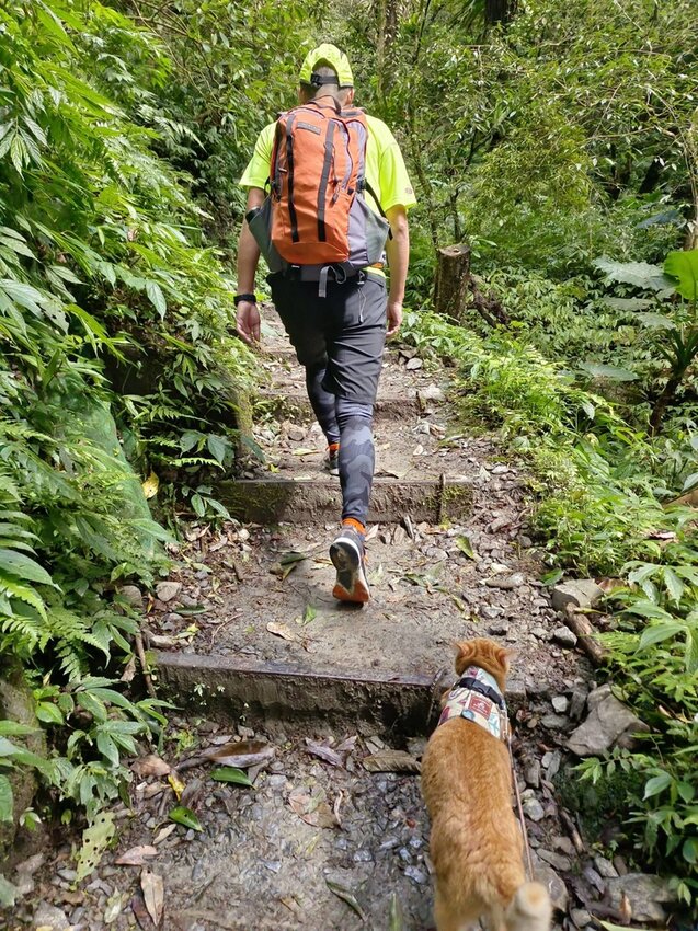 【宜蘭.礁溪】最美網美山抹茶山{聖母登山步道}來回10公里爬升770公尺