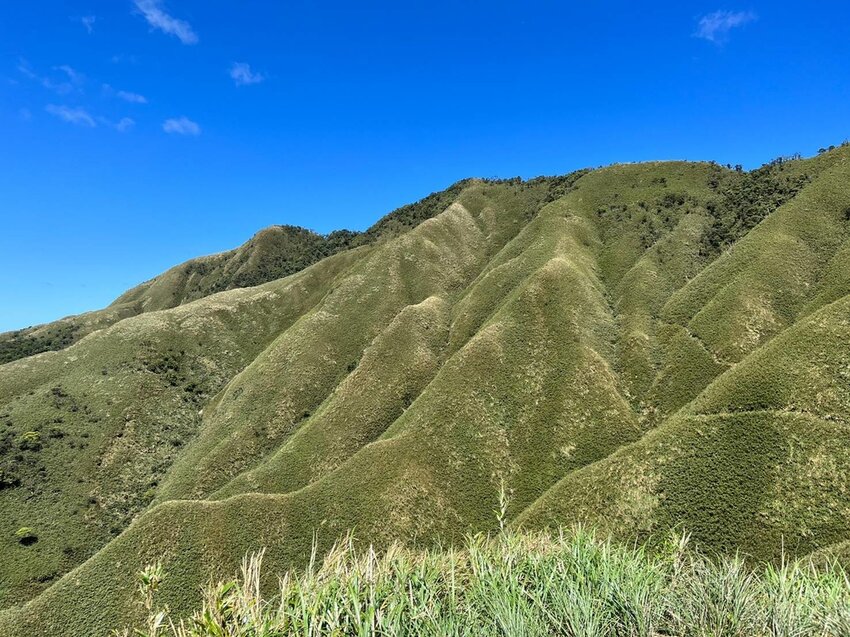 【宜蘭.礁溪】最美網美山抹茶山{聖母登山步道}來回10公里爬升770公尺
