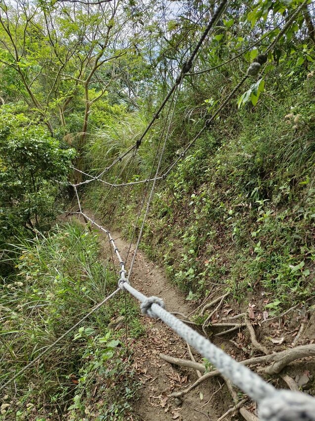 【台南.楠西區】伍龍登山口停車場直奔獵鷹尖+梅嶺一線天。住宿:玉井微風栩栩晴意天空