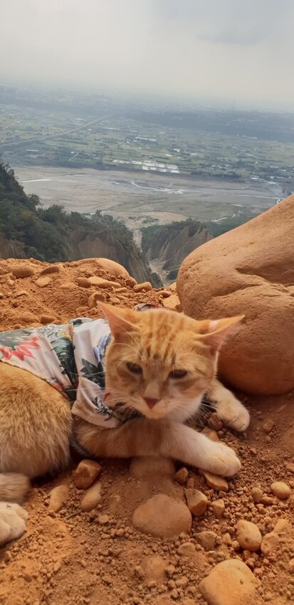 190031.jpg - 【苗栗.三義】帶著貓咪去旅行超壯觀火燄山。大峽谷來回約4.5小時