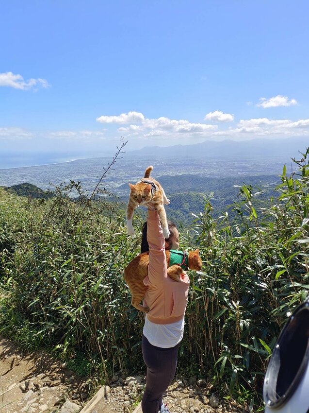 【宜蘭.礁溪】最美網美山抹茶山{聖母登山步道}來回10公里爬升770公尺