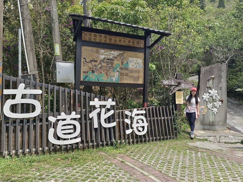 【台南.楠西區】伍龍登山口停車場直奔獵鷹尖+梅嶺一線天。住宿:玉井微風栩栩晴意天空