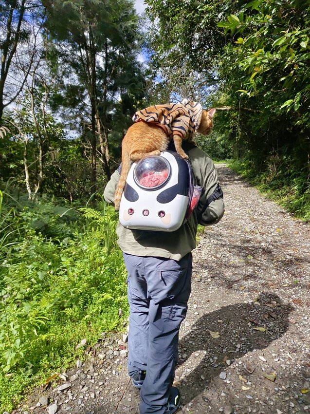 【宜蘭.礁溪】最美網美山抹茶山{聖母登山步道}來回10公里爬升770公尺