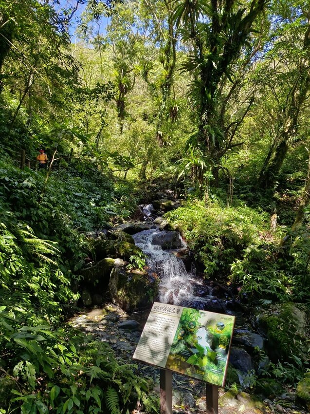 【宜蘭.礁溪】最美網美山抹茶山{聖母登山步道}來回10公里爬升770公尺