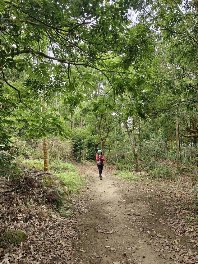 【台南.楠西區】伍龍登山口停車場直奔獵鷹尖+梅嶺一線天。住宿:玉井微風栩栩晴意天空