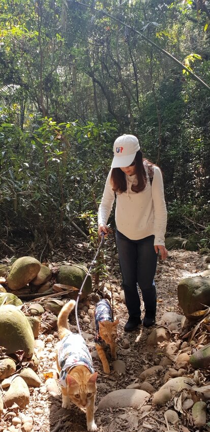 190078.jpg - 【苗栗.三義】帶著貓咪去旅行超壯觀火燄山。大峽谷來回約4.5小時