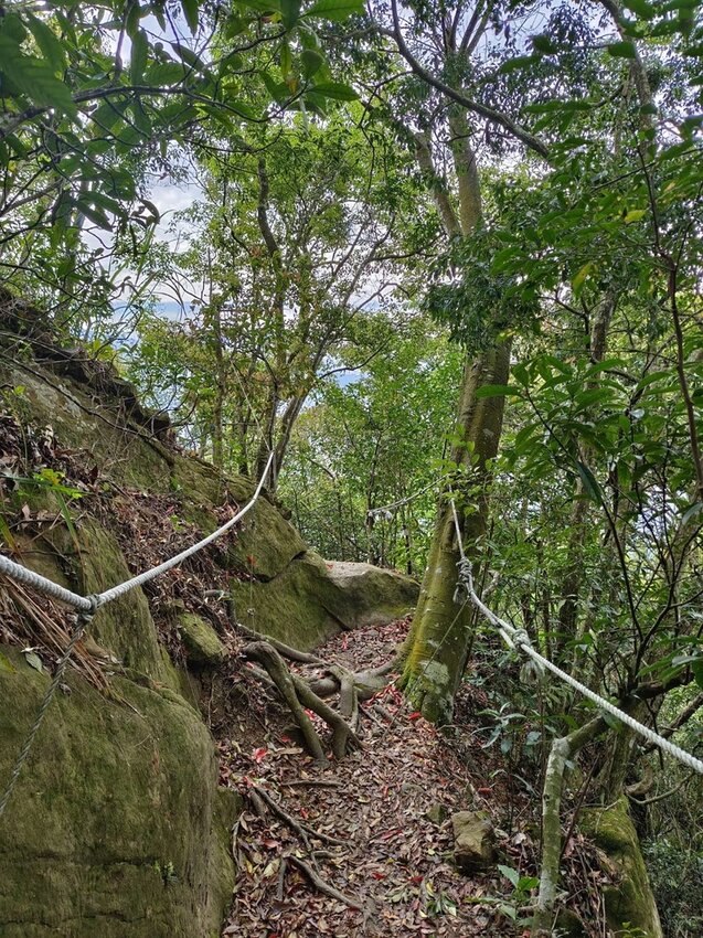 【台南.楠西區】伍龍登山口停車場直奔獵鷹尖+梅嶺一線天。住宿:玉井微風栩栩晴意天空