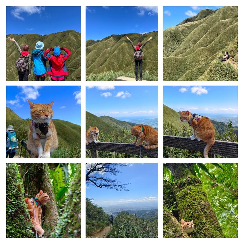 【宜蘭.礁溪】最美網美山抹茶山{聖母登山步道}來回10公里爬升770公尺