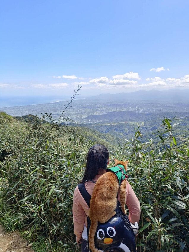 【宜蘭.礁溪】最美網美山抹茶山{聖母登山步道}來回10公里爬升770公尺