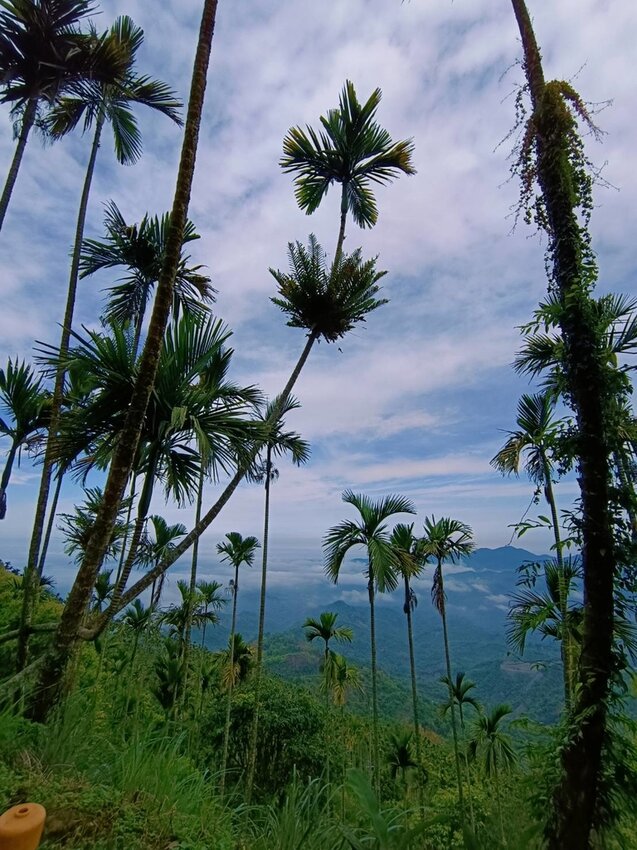 【台南.楠西區】伍龍登山口停車場直奔獵鷹尖+梅嶺一線天。住宿:玉井微風栩栩晴意天空