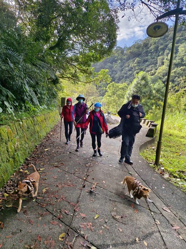 【宜蘭.礁溪】最美網美山抹茶山{聖母登山步道}來回10公里爬升770公尺