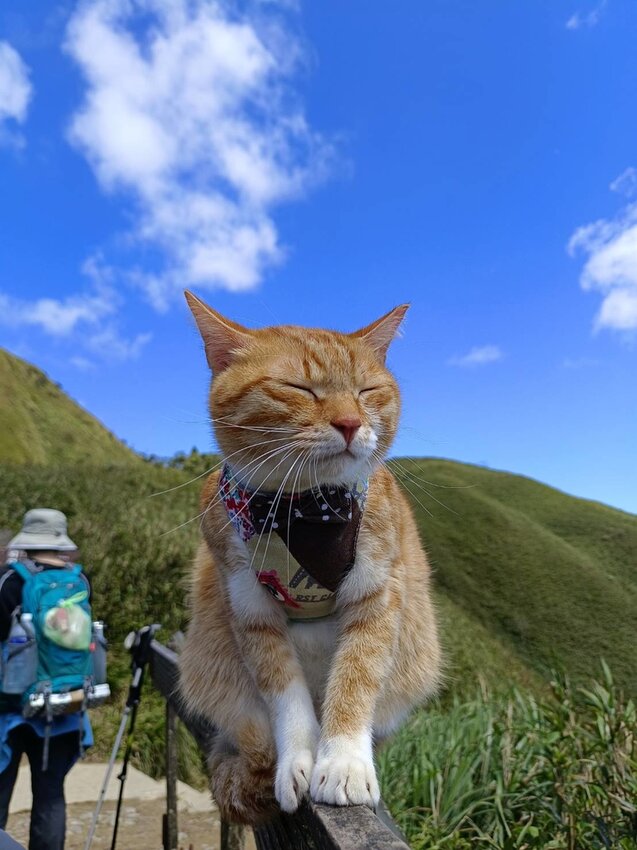 【宜蘭.礁溪】最美網美山抹茶山{聖母登山步道}來回10公里爬升770公尺
