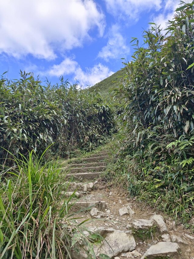 【宜蘭.礁溪】最美網美山抹茶山{聖母登山步道}來回10公里爬升770公尺