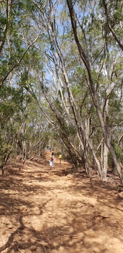 190064.jpg - 【苗栗.三義】帶著貓咪去旅行超壯觀火燄山。大峽谷來回約4.5小時