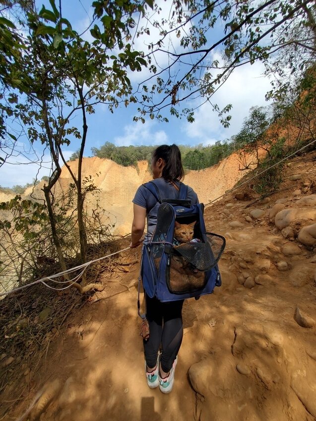 190023.jpg - 【苗栗.三義】帶著貓咪去旅行超壯觀火燄山。大峽谷來回約4.5小時