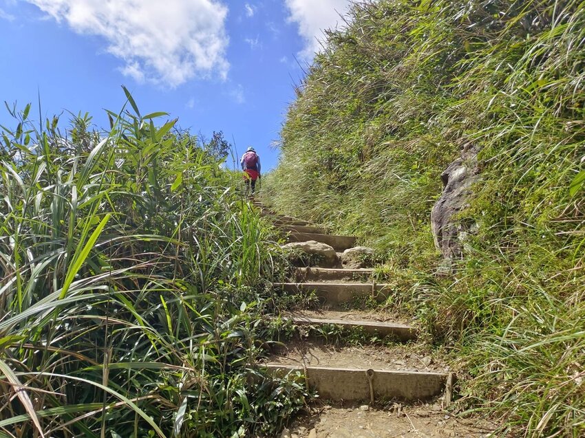 【宜蘭.礁溪】最美網美山抹茶山{聖母登山步道}來回10公里爬升770公尺