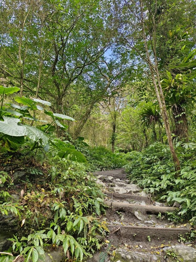 【宜蘭.礁溪】最美網美山抹茶山{聖母登山步道}來回10公里爬升770公尺