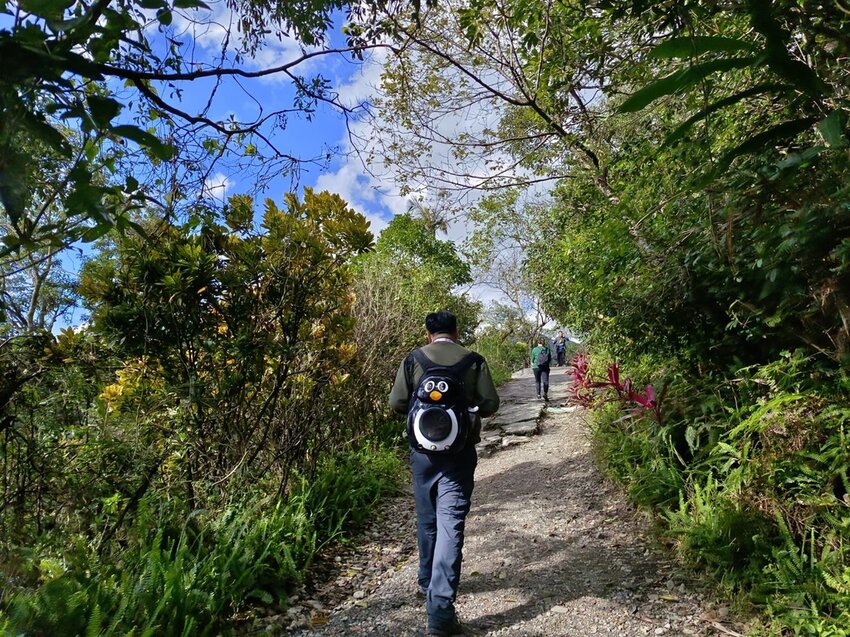 【宜蘭.礁溪】最美網美山抹茶山{聖母登山步道}來回10公里爬升770公尺