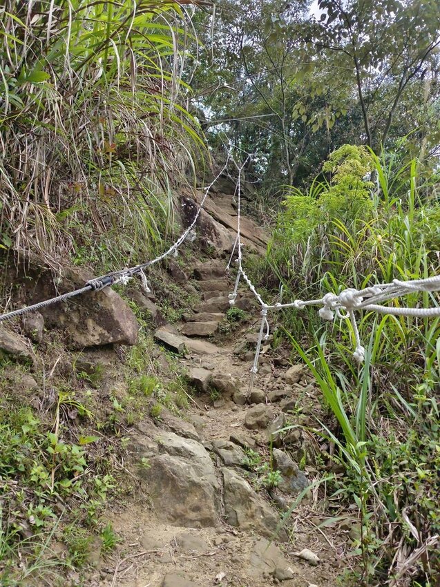 【台南.楠西區】伍龍登山口停車場直奔獵鷹尖+梅嶺一線天。住宿:玉井微風栩栩晴意天空