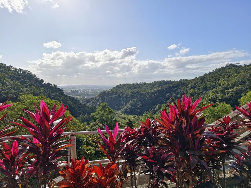 【宜蘭.礁溪】最美網美山抹茶山{聖母登山步道}來回10公里爬升770公尺