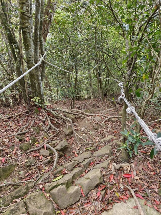 【台南.楠西區】伍龍登山口停車場直奔獵鷹尖+梅嶺一線天。住宿:玉井微風栩栩晴意天空