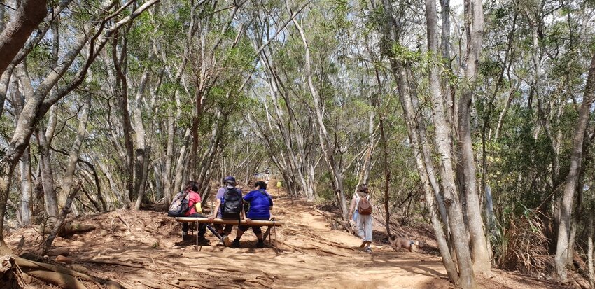 190065.jpg - 【苗栗.三義】帶著貓咪去旅行超壯觀火燄山。大峽谷來回約4.5小時