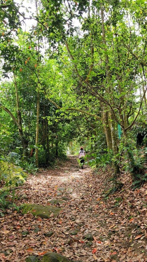 【台南.楠西區】伍龍登山口停車場直奔獵鷹尖+梅嶺一線天。住宿:玉井微風栩栩晴意天空