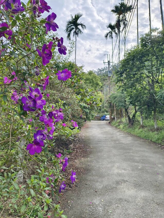 【台南.楠西區】伍龍登山口停車場直奔獵鷹尖+梅嶺一線天。住宿:玉井微風栩栩晴意天空