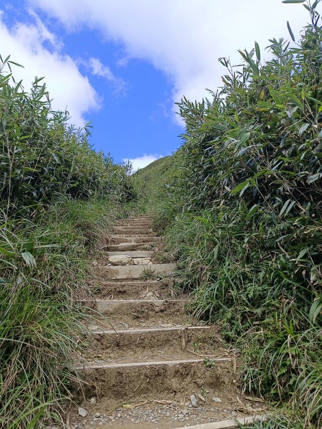 【宜蘭.礁溪】最美網美山抹茶山{聖母登山步道}來回10公里爬升770公尺