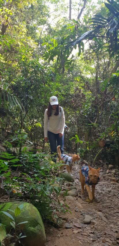 190077.jpg - 【苗栗.三義】帶著貓咪去旅行超壯觀火燄山。大峽谷來回約4.5小時