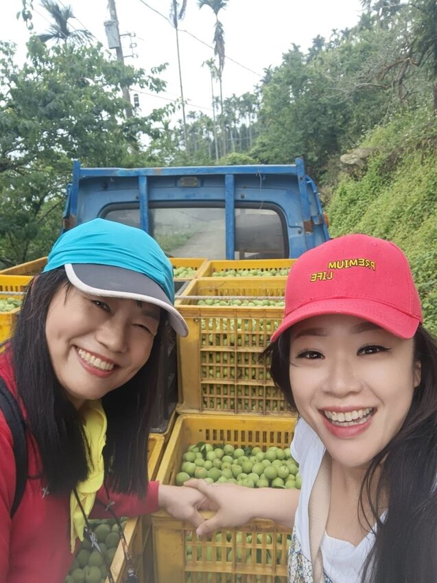 【台南.楠西區】伍龍登山口停車場直奔獵鷹尖+梅嶺一線天。住宿:玉井微風栩栩晴意天空