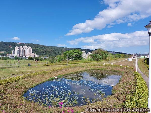 五股夏綠地10-藍天綠地景緻.jpg